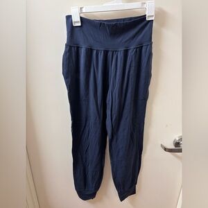 EUC Athleta Salutation Jogger Powervita Colorway
